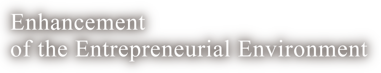 Enhancement of the Entrepreneurial Environment
